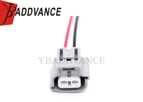 6189-0175 2 épingles Femme TS 2,3 mm ((090) Fog Light Turn Signal Connector Harness de fil pour Toyota Ford 90980-11019 WPT-1156